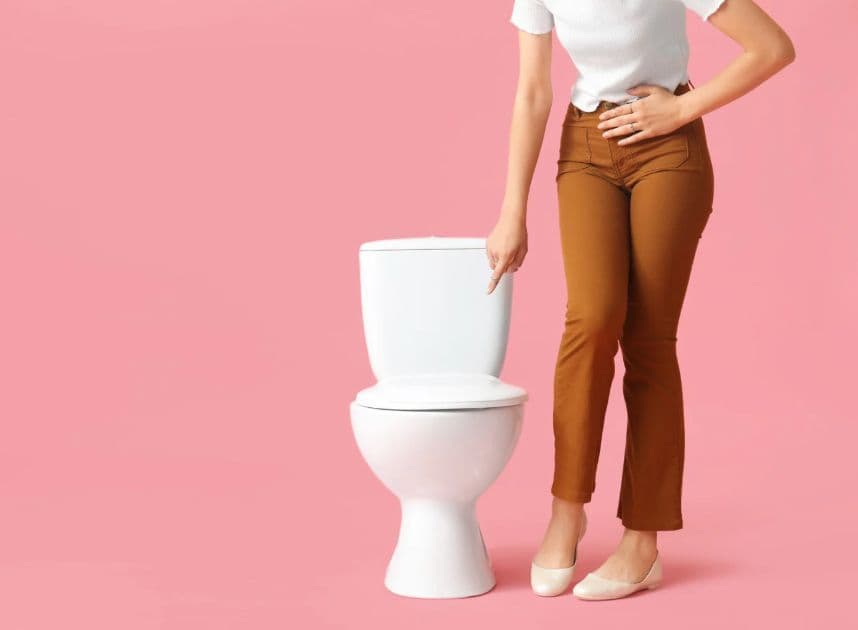 Illustration du lien entre microbiote intestinal, vaginal et urinaire dans la cystite récidivante
