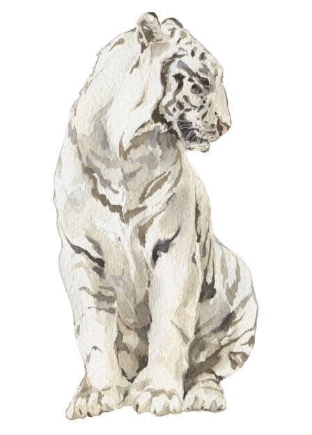 Tigre blanc, symbole de l'automne et de l'élément Métal en médecine traditionnelle chinoise, associé aux poumons, à la transmission et au lâcher-prise.